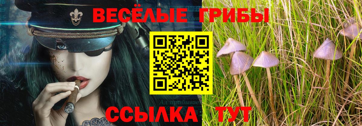 Галлюциногенные грибы MAGIC MUSHROOMS Петрозаводск